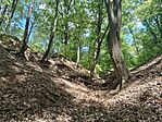 IMG_20260728_134924.jpg