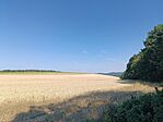 IMG_20260729_153114.jpg