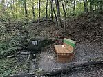 IMG_20260729_075327.jpg