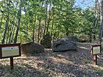 IMG_20260729_081621.jpg