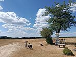 IMG_20260728_144112.jpg