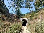 IMG_20260729_095349.jpg