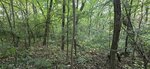 log-image-1783267655422-0
