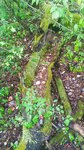 log-image-1783793505858-0