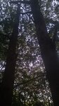 log-image-1783795535002-0