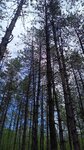 log-image-1783850783773-0