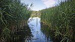 IMG_20260711_081020