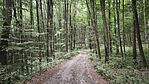 IMG_20260729_103840
