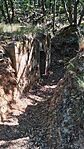 IMG_20260704_095346