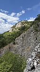 IMG_2740