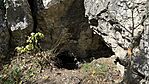 IMG_2750