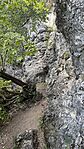 IMG_2752