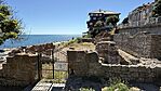 IMG_2626