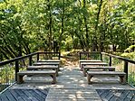 IMG_20260730_135815