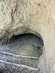 IMG_2157