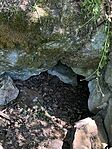 IMG_2161