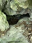 IMG_2153