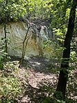 IMG_2159