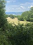 IMG_2205