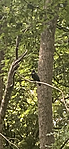 IMG_2191