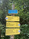 IMG_2556