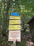 IMG_2554