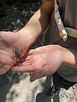 IMG_2590