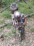 IMG_20260705_144419