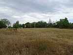 DSC09305