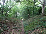 DSC09309