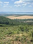 IMG_3976