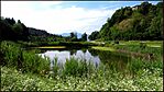 Kis tavacska a majompark közelében