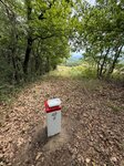 Ide vittem: 42.2 határkőig
