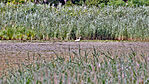 P1120764