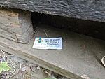 IMG_20260719_121439835_MFNR