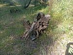 IMG_20260723_165355206_MFNR