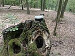 IMG_20260724_140748512_MFNR