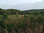 IMG_20260726_190655073_MFNR