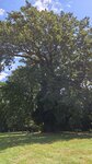 log-image-1783159457977-0