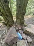 log-image-1784985211942-0