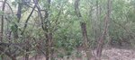 log-image-1783347541733-0