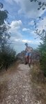 log-image-1783347698747-0