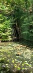 log-image-1785241239939-0