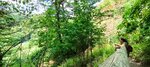 log-image-1785241239935-2