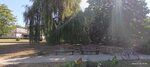 log-image-1785397205043-0