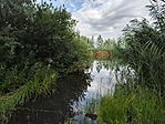 IMG_20260712_084324
