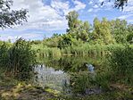 IMG_20260712_084911