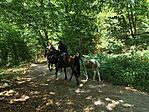 IMG_20260718_134322