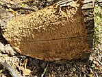 IMG_20260719_131929