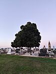 IMG_20260728_203257